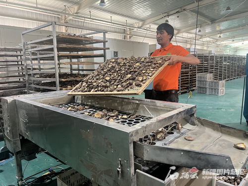 豐收節丨新疆 賦能鄉村振興 建設和美家園