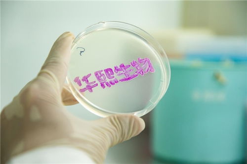 企業(yè)如何助力國家發(fā)展新質(zhì)生產(chǎn)力 華熙生物 大力發(fā)展合成生物技術(shù)