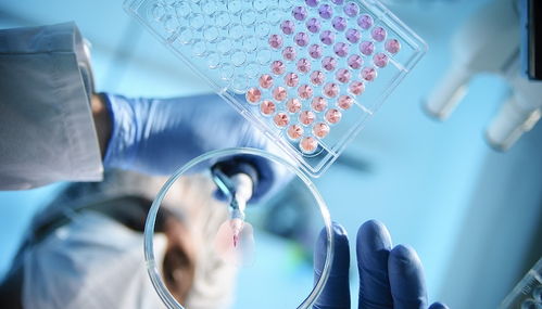 天境生物剝離國內資產背后 研發接連受挫,市值縮水超九成五