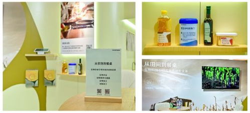 諾和新元 novonesis 全新亮相fic 2024 以生物科技引領食品健康體系新變革