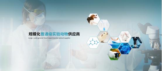 恭喜上海甲干生物科技中標(biāo)蘇州大學(xué)實(shí)驗(yàn)動物供應(yīng)商