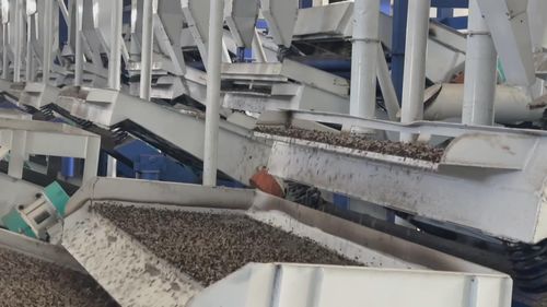 塔城地區(qū)生物科技產(chǎn)業(yè)助力外貿(mào)迎來廣闊發(fā)展機遇