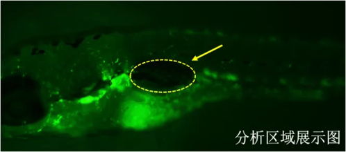 杭州環(huán)特生物科技股份公司最新動態(tài)與發(fā)展概覽